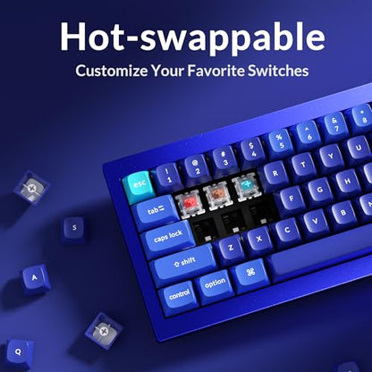 Keychron Q4 Wired Custom Mechanical Keyboard, QMK/VIA Programmable Macro, Full Aluminum, Hot-Swappable Gateron G Pro Red Switch, 60% Layout Double Gasket Compatible with Mac and Windows - Blue - color: Blue (Gateron G Pro Red Switch)