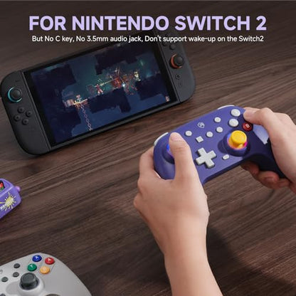 ECHTPower Switch Controller, Hall Joystick Controller for Switch 2 Retro Design, 2025 Wireless Switch Pro Controller with RGB/Turbo/Marko/Vibration, Wireless Gamepad for Switch 2/OLED/PC/Adroid/iOS