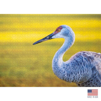The Sandhill Crane, Premium 1000 Piece Jigsaw Puzzle for Adults, Glare-Free, Soft-Touch Puzzles, Made in USA, Puzzle Lovers Gift Ideas, 26.6" x 19.25" - color: The Sandhill Crane