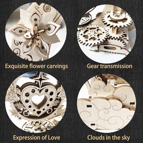 Wooden 3D Puzzle for Adults Mechanical Music Box Model Kits Wood DIY Crafts Kit Jigsaw Puzzle for Age 14+ Years Old - style: moon