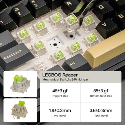 EPOMAKER X Aula EA75 MAX Wireless Gaming Keyboard with Screen & Knob | 5000mAh, Hot-Swap, Lubed Switches, RGB Backlit, Creamy Gasket, 75% Mechanical Keyboard (Black, Reaper Switch) - color: Black, size: Reaper Switch