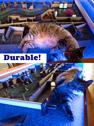Dirt Cheap Dungeons - 긴 벽 확장 | 모듈식 및 맞춤형 | 우수한 내구성을 위한 사출 성형 | D&D, Daggerheart 및 테이블 탑 게임용 TTRPG 액세서리