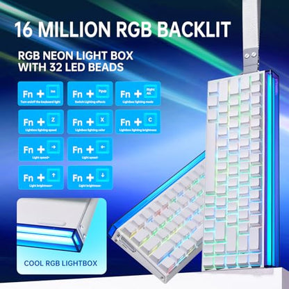 Aula Hero 68 HE 60% Gaming Keyboard Wired, Hall Effect Magnetic Switch Keyboard with Adjustable Actuation, Fast Trigger Mode, 8K Hz Polling Rate, 0.125ms Latency - color: White Pluto