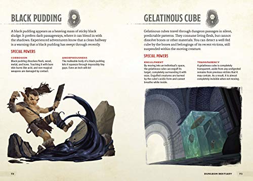 Dungeons & Tombs (Dungeons & Dragons): A Young Adventurer's Guide