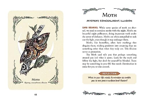 The Green Witch's Oracle Deck: Embrace the Wisdom and Insight of Natural Magic (Green Witch Witchcraft Series)