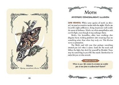 The Green Witch's Oracle Deck: Embrace the Wisdom and Insight of Natural Magic (Green Witch Witchcraft Series)
