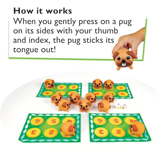 Tongues Out! The Squishy, Squeezy Preschool and Children Game - Educational Puppy Fidget Memory Color Matching Fun by Blue Orange Games - 2-4 Players for Ages 4+