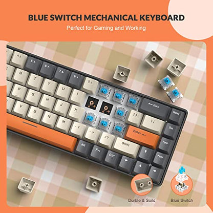 ZIYOU LANG 65% Wired RGB TKL Portable Mechanical Gaming Keyboard Dark Gray Blue Switch with Coiled Cable and White Rainbow Cloud Wrist Rest for PC Mac Gamer
