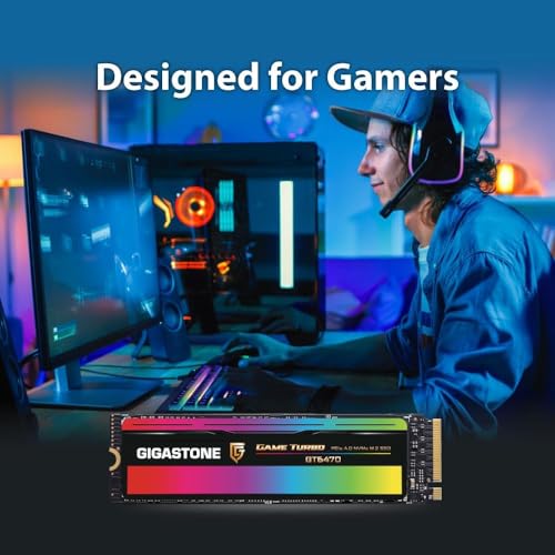 Gigastone 2TB Game Turbo PCIe Gen4x4 SSD (4-Pack) Up to 7,300MB/s with SLC Caching Gaming/PC/Desktop/Laptop 5-Year Warranty M.2 NVMe PCIe 4.0 2280 Internal Solid State Drive - color: 2TB GAME TURBO PCIe 4.0 SSD 4-Pack