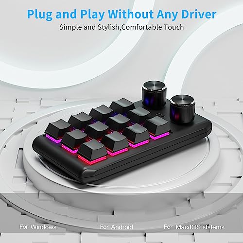 Multifunctional Macro Mechanical Keyboard With 12 Customizable Keys 2 Knobs - One-Handed RGB Gaming Keypad Programmable Ultra-Thin Mechanical Keyboard With 12 Programmable Keys And RGB Backlighting