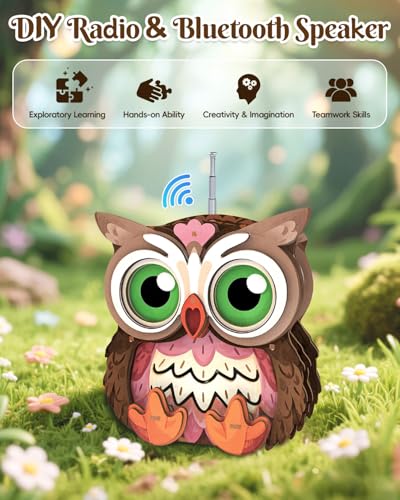 3D Wooden Puzzles for Adults, Big-Eyed Adorable Owl Bluetooth Speaker Model Kit, 3D Puzzles for Adults Room Home Decor DIY Craft Kit, Holiday Birthday Christmas Day Gifts for Men Women Teens