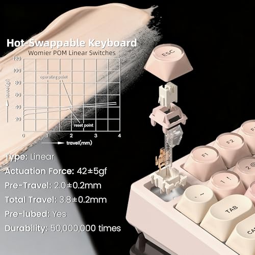 Womier SK80 75% Foundation Mechanical Keyboard with Multimedia Display | Pink Gaming Creamy Keyboards, Jelly Keycaps Hot Swap RGB Wired Key board Pre-lubed POM Switch for Mac/Win, Pink - color: Pink