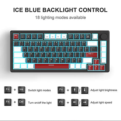 MageGee 75% Mechanical Gaming Keyboard, Compact Blue Backlit Wired Gaming Keyboards with Yellow Switches, EVA Foam, Knob Control, STAR75 Portable NKRO PC Gaming Keyboard - White & Black - color: White & Black - Yellow Switch