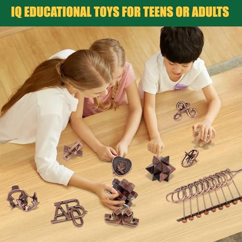 13 Pcs Brain Teaser Puzzles for Adults - Metal Puzzles 3D Puzzle Game Toys for Adults Teens - Wooden Unlock Interlocking Puzzle Adult IQ Education Smart Toys - style: Style A