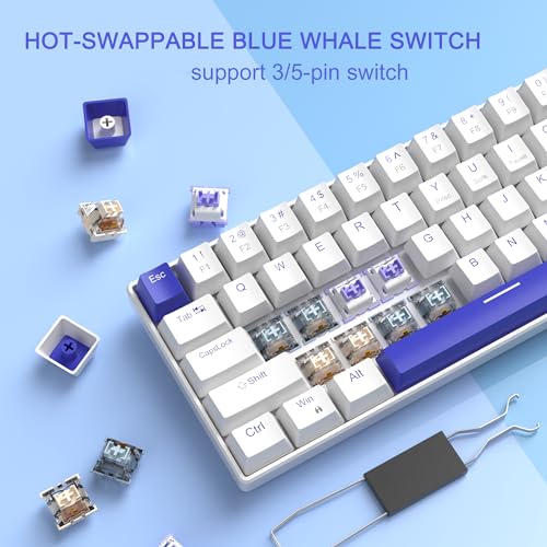 MageGee Portable 60% Mechanical Gaming Keyboard, RGB Backlit Compact 68 Keys Wired Mini Keyboard for Laptop PC Mac, Hot Swappable, Blue Whale Switch - White - color: Klein Blue/Blue Whale Switch