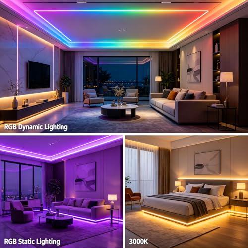 RGBW IC COB LED Strip Kit Warm White 3000K 16.4FT 24V 480LEDs/M | WS2811 IC Addressable Music-Sync Dimmable Color Changing Multicolor RGB+WW LED Tape Kit for Bedroom Gaming Room Party Lights - color: RGBW+IC+3000K