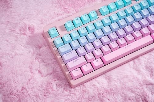 ZORNHER ZH980 Mechanical Keyboard,95% Pink & Blue Creamy Keyboard with Number Pad,Gaming Keyboard Full Size,Shine Through PBT Keycaps,Creamy Sounding Linear Switches - color: Pink & Blue Grandient, size: Creamy Switch