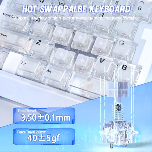 AK029 Wired 29 Keys One-Handed RGB Gaming Keyboard with 8000HZ,0.01mm RT Magnetic Switches Adjustable Actuation,Hotswappable Mechanical Keyboard,Aluminum Plate,Web Driver for Gamers-Transparent White - color: White Transparent