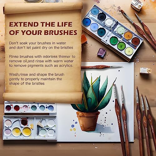 Golden Maple Miniature Model Paint Brushes-10pcs Micro Detail Paint Brush Set,Small Fine Detail Brushes for Acrylic, Oil, Watercolor & Paint by Number,Figurine - style: 10BW