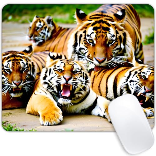 Square Mouse Pad Big cat,Gaming Mouse Pads for Desk,Soft Computer Waterproof Non-Slip Mouse Mat - color: Big cat