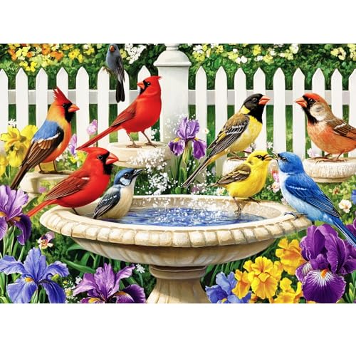 500 Pieces Puzzle for Adults,Birds Bath Flower Fence Puzzle,Recycled Cardboard Animals Jigsaw Puzzle 500 Pieces,Challenging Game Home Decor Birthday Party Gift Toy for Adults Seniors 20.5 * 15 in - style: Bath Birds