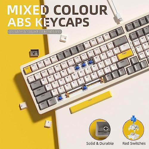 Ajazz Mechanical Gaming Keyboard, Hot Swappable with Numeric Pad, Compact USB Wired 100 Keys, Double-Shot ABS Keycaps, N-Key Rollover RGB Custom for PC Mac (MX Blue) - color: Cheese/Hot-swap Blue Switch