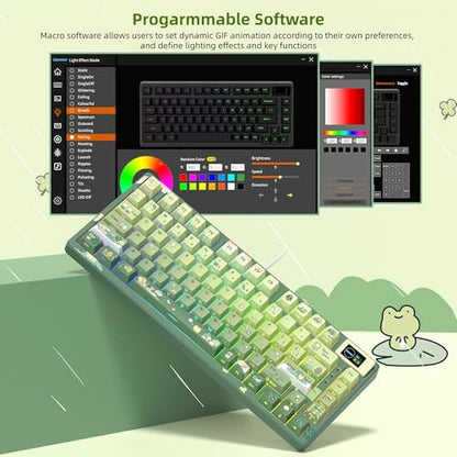 Womier SK80 75% Keyboard with Color Multimedia Display Mechanical Keyboard | Gaming Keyboard Cute Green Frog Wired Hot Swap Gasket Mount RGB Custom Key board, Pre-lubed Stabilizer for Mac/Win, Green - color: Green
