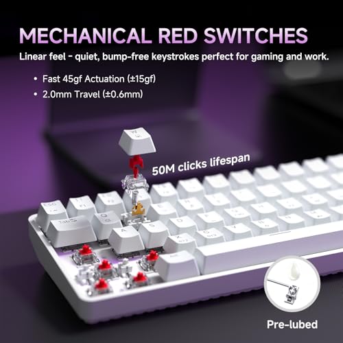 DIERYA DK68 60% Wireless Mechanical Gaming Keyboard, 3-Mode, Bluetooth 5.0/2.4G/USB-C, RGB Backlit, 68-Key Compact Mini for Windows, Mac, Linux - Linear Red Switch - White - color: White/Red Switch, size: Wireless