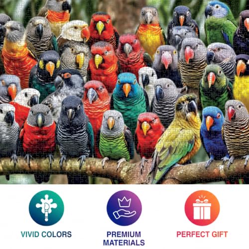 Cross & Glory | Jigsaw Puzzles for Adults | Kaleidoscope of Feathers | Unique Bird Artwork | 2mm Thick Pieces | Bonus Reference Poster | Satin Finish | Ages 14+ - color: Kaleidoscope of Feather