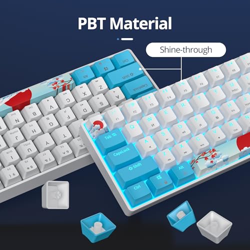 surmen 60% Wired Mechanical Gaming Keyboard, Backlit Ultra-Compact Mini Office Keyboard with Red Switch for PC/Mac Gamer, Typist (61 Blue White) - color: 61 Blue White