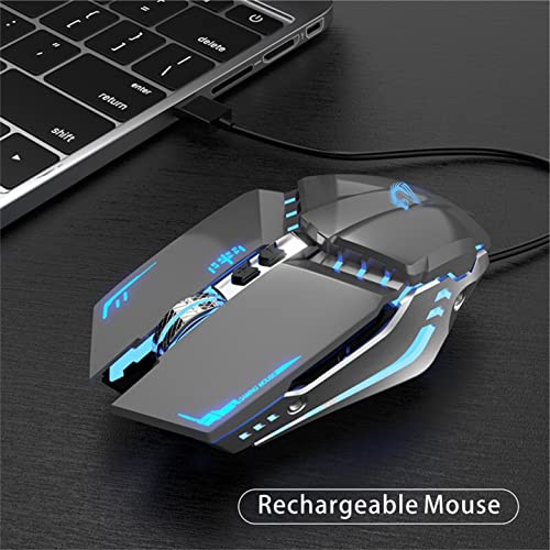 TENMOS T12 Wireless Gaming Mouse, Silent Rechargeable Computer Mice-Grey | 2.4GHz Optical, 7 Color LED Lights, Quiet Click,Side Buttons,3 Adjustable DPI,Ergonomic Design, Nano Receiver,USB C Charging - color: grey