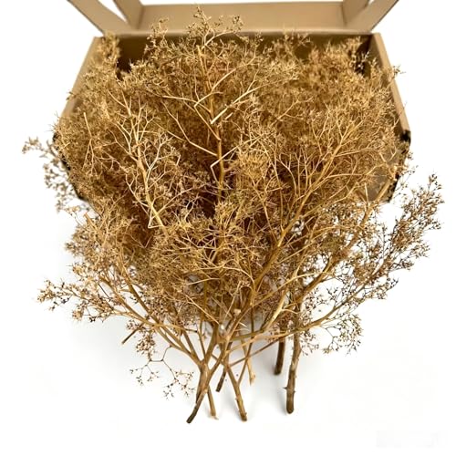 Flexible Model Tree Armatures - 1:24 to 1:220 Scale Natural Wood Texture Skeletons for Railway, Diorama & Wargame Terrain - Unbreakable & Easy to Shape, Ages 14+ (Brown) - color: Brown