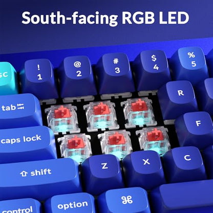 Keychron Q4 Wired Custom Mechanical Keyboard, QMK/VIA Programmable Macro, Full Aluminum, Hot-Swappable Gateron G Pro Brown Switch, 60% Layout Double Gasket Compatible with Mac and Windows - Blue - color: Blue (Gateron G Pro Brown Switch)