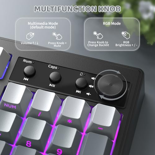 FREEWOLF K100 99 Keys Gaming Creamy Silent Wireless Keyboard with Media Knob,BT/2.4GHz/USB-C,Side Printed Keys RGB Backlit Number Pad,Retro Cute Membrane Computer Keyboard for PC/MAC-Gradient Black - color: Gradient Black