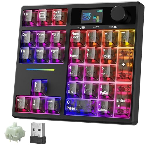 BOYI TD31Pro Gaming Keyboard,Mini Mechanical Numpad,BT5.0/2.4G/Type-C Wireless Numeric Keypad,RGB HotSwap Numpad with Screen&Knob,Gasket Macro Pad Number keypad for Win/Mac(Black Transparent) - color: Black Transparent