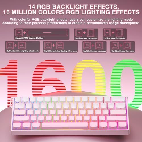 Aula WIN60 HE - 60% Mechanical Gaming Keyboard Wired, Hall Effect Magnetic Switch Hot Swappable,8000 Hz Polling Rate, RGB Keyboard 60 Percent Compact Design for PC (Gradient Pink) - color: Gradient Pink