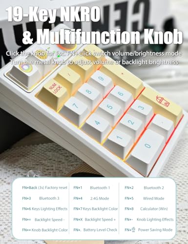 Gasket Creamy Mechanical Numpad Programmable Keypad RGB LED Backlit | Wireless 2.4G/Bluetooth 5.0/Wired USB-C Hot Swappable Macro Number Pad Rechargeable Numeric Keyboard Metal Knob, Donut - color: Donut
