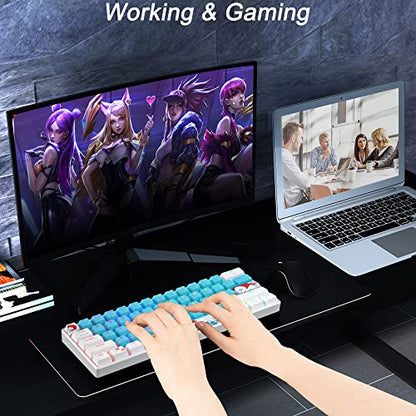 Fogruaden 60% Mechanical Keyboard, 61 Keys Gaming Keyboard, RGB Backlit, Compact 60 Percent Wired Keyboard for Win/Mac PC Gamer, Easy to Carry on Trip (Blue,Blue Switch) - color: Blue/ Blue switch