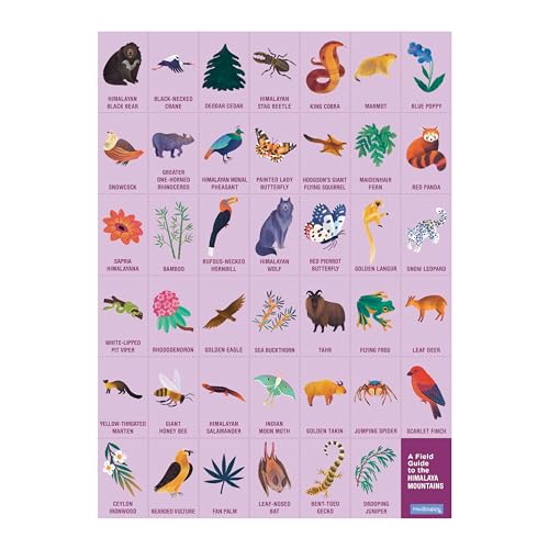 Mudpuppy in The Mountains — 64 Piece Search & Find Puzzle Jigsaw Puzzle Featuring Diverse Himalayan Mountain Animals and Over 40 Hidden Images to Find for Ages 4+ - color: In the Mountains