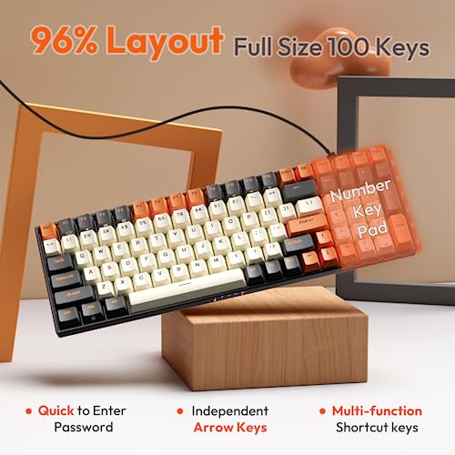RK ROYAL KLUDGE RK100 Wireless Mechanical Keyboard RGB Backlit Bluetooth5.1/2.4G/Wired 96% Full Size 100-Key Hot Swappable Gaming Keyboard Brown Switch Carbon | 96% Full Size Keyboard with 3750mAh battery, 2.4Ghz/Bluetooth 5.1/Wired, Hot Swappable, Number