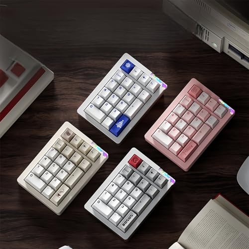 STARS21 Mechanical Number Pad,Aluminum CNC VIA/QMK Programmable Macro Numpad Gasket Hot Swappable Wireless Numeric Keypad BT5.0/2.4Ghz/USB-C RGB Gaming Keypad for Laptop/PC/Office (Silver-Gray) - color: Silver-Gray