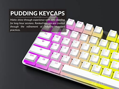 Ranked Pudding v2 PBT Keycaps | 145 Double Shot Translucent ANSI US & ISO Layout | OEM Profile for Full Size, TKL, 75%, 65% and 60% RGB Mechanical Gaming Keyboard (White) - color: White