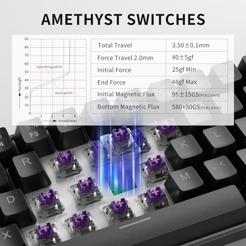 MageGee 60% Rapid Trigger Gaming Keyboard, Hall Effect Magnetic Switch, Actuation Point Adjustable, Hot Swappable RGB Backlit Wired Keyboard with Arrow Keys for Win/PC/MAC, Black - color: Black
