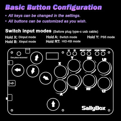 BITFUNX Duelpad Leverless Controller Arcade Stick, Zen16 Arcade Controller for PC/PS3/PS4/PS5/Switch/Steam, All-Button Arcade Fight Stick with SOCD/TURBO/Custom RGB/Hot-Swap/Low-Profile Switch (Mini) - size: Mini