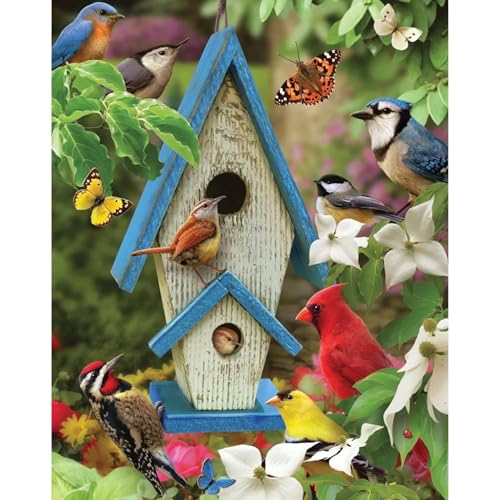 Bits and Pieces Jigsaw Puzzles for Adults 300 Pieces - Summer Song Birds | 18" x 24" Jigsaw Puzzle 300 Pieces - Birdhouse Summer Birds Puzzle - Recycled Cardboard - Bright Colors - No False Fits - size: 300 Piece Puzzle