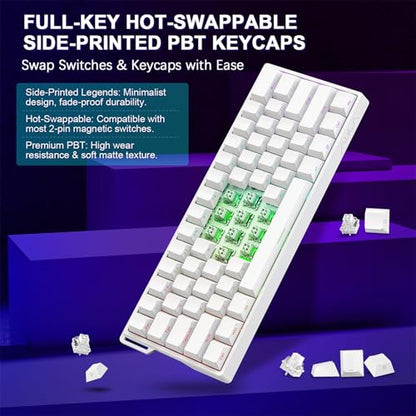 WIN60 HE 60% Mechanical Keyboard Wired, Hall Effect Gaming Keyboard Magnetic Switch Hot Swappable, Adjustable Actuation Rapid Trigger Mode 8000Hz Polling Rate, RGB Keyboard 60 Percent Design - color: WIN60 Side-printed White
