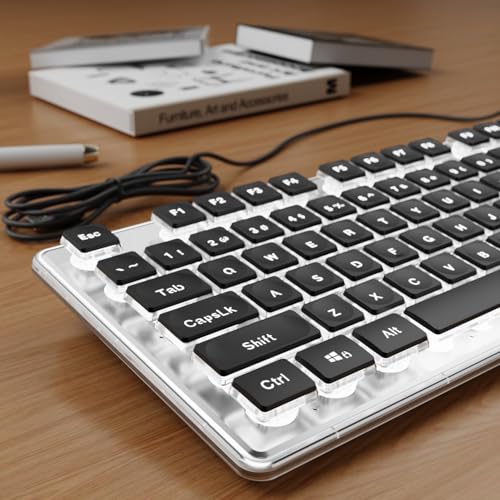 SEUNKWANG Wired Backlit Keyboard with Pudding Keycaps, Quiet Full Size Computer Keyboard White Backlight Easy-to-Read, Never Fade, Metal Panel, USB Cute Desk Setup for Windows PC Desktop, Black - color: Black-white