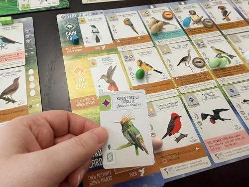 Stonemaier Games: Wingspan Americas Expansion by Elizabeth Hargrave | Add to Wingspan | Includes Small Hummingbird Cards with New Mechanism, 111 Unique New Colorful Birds, & More | 1-5 Players, 90 Min
