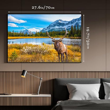 Jigsaw Puzzles 2 Pack 1000 Pieces - Puzzles for Adults - Rocky Mountain & Spirit Island National Park Impossible Challenging Puzzles - color: Rocky Mountain & Spirit Island National Park