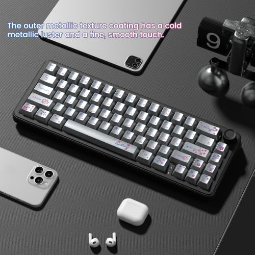 dagaladoo PBT keycaps Set,Cherry Profile Keyboard keycaps,Metal Coating | Retro key caps,Custom keycaps for 60% 65% 75% 100% Cherry-MX switch Mechanical Keyboard,Silver,130keys - color: Silver Metal Coating
